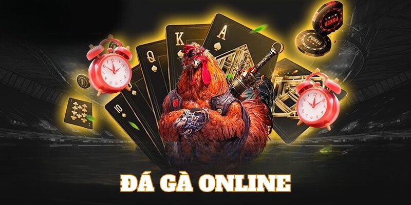 Đá gà 33win - Đá gà cựa dao: tốc độ và sát thương cao Đá gà 33win - Đá gà cựa dao: tốc độ và sát thương cao